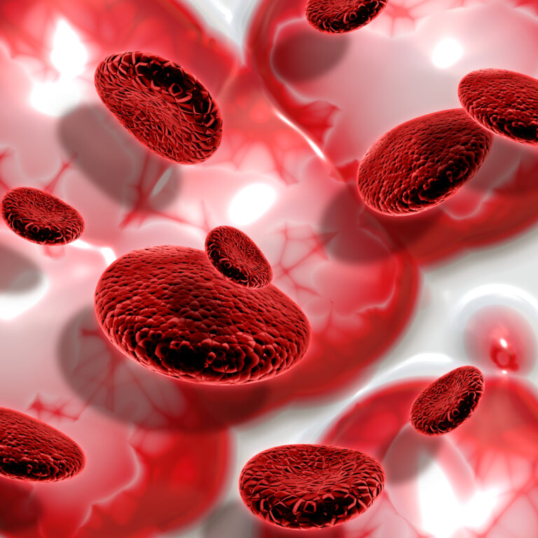 3D blood cells on abstract background